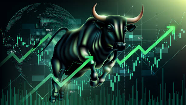 Equity & Stock Portfolios